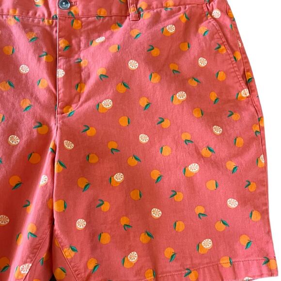 Hawker Rye Men's Chino Shorts Oranges 9" Inseam Big & Tall Size 44 Flat Front - Picture 2 of 7